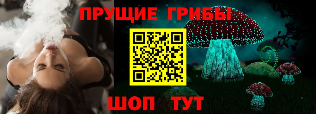 Псилоцибиновые грибы GOLDEN TEACHER Вышний Волочёк