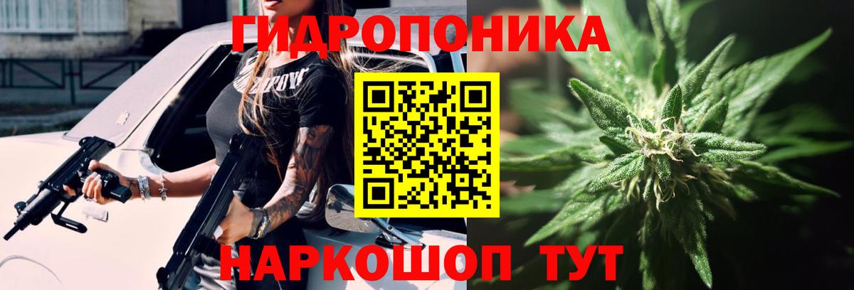 МАРИХУАНА гибрид  Шишки марихуана конопля  Марихуана White Widow  Марихуана SATIVA & INDICA  Вышний Волочёк 